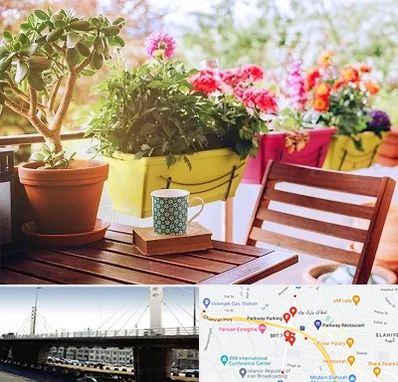 گیاه آپارتمانی در پارک وی 