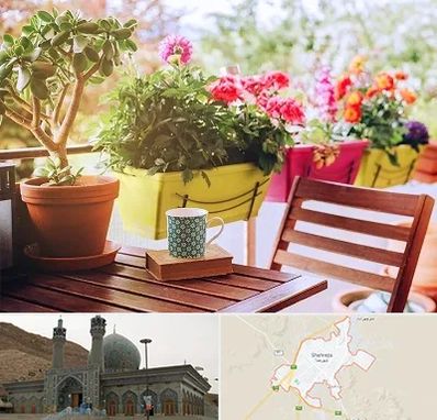 گیاه آپارتمانی در شهرضا