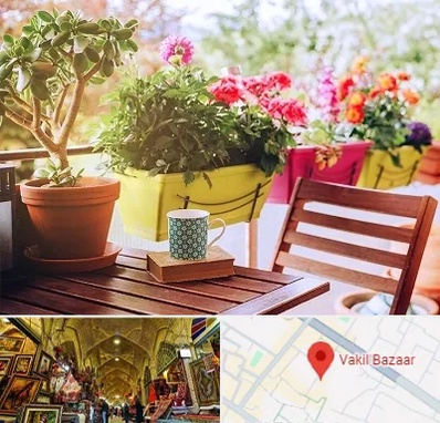 گیاه آپارتمانی در بازار وکیل شیراز