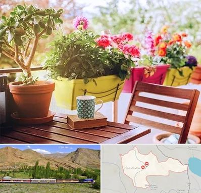 گیاه آپارتمانی در خاش