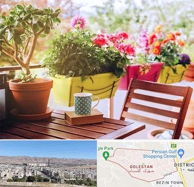 گیاه آپارتمانی در شهرک گلستان شیراز