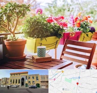 گیاه آپارتمانی در زنبیل آباد قم