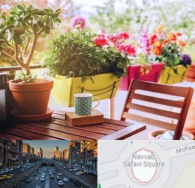 گیاه آپارتمانی در نواب