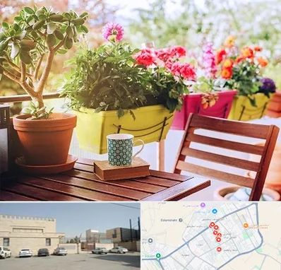 گیاه آپارتمانی در نواب اسلامشهر