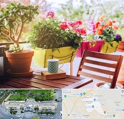 گیاه آپارتمانی در نسیم شهر