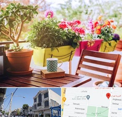 گیاه آپارتمانی در افسریه 