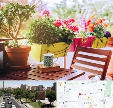 گیاه آپارتمانی در شهرک آزمایش 