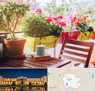 گیاه آپارتمانی در برازجان