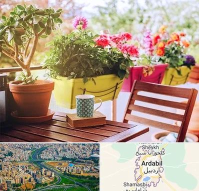 گیاه آپارتمانی در اردبیل