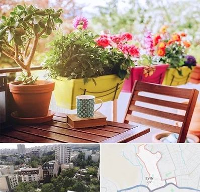 گیاه آپارتمانی در اوین