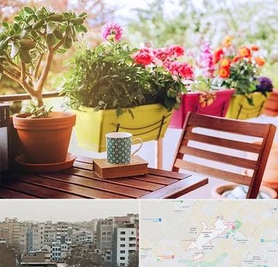 گیاه آپارتمانی در محمد شهر کرج 