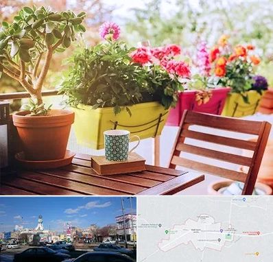 گیاه آپارتمانی در ماهدشت کرج 