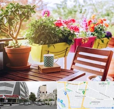 گیاه آپارتمانی در بلوار فردوس 