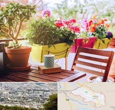 گیاه آپارتمانی در یاسوج