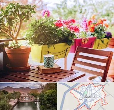 گیاه آپارتمانی در دامغان