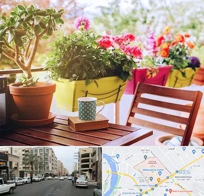 گیاه آپارتمانی در زیتون کارمندی اهواز