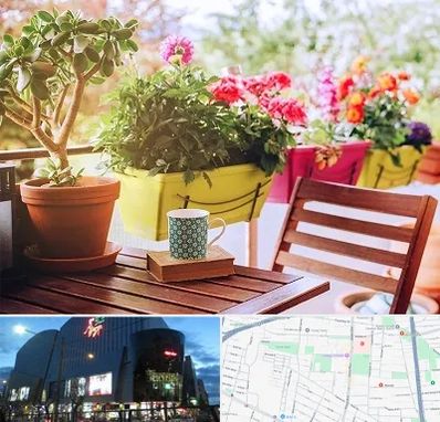 گیاه آپارتمانی در بلوار اباذر