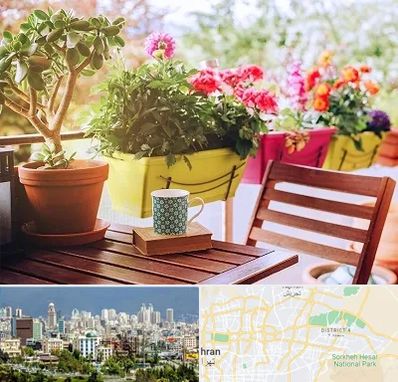 گیاه آپارتمانی در شرق تهران 
