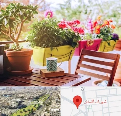 گیاه آپارتمانی در شهرک گلستان