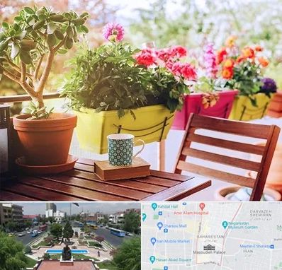 گیاه آپارتمانی در بهارستان 