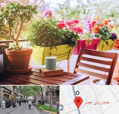گیاه آپارتمانی در ولیعصر شهریار