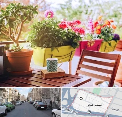 گیاه آپارتمانی در مجیدیه شمالی