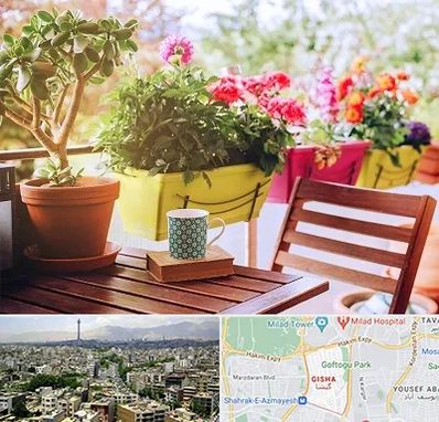 گیاه آپارتمانی در گیشا 