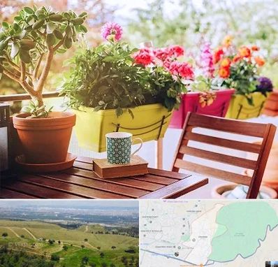 گیاه آپارتمانی در سوهانک