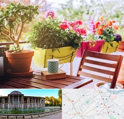 گیاه آپارتمانی در عفیف آباد شیراز