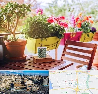 گیاه آپارتمانی در شهرک راه آهن