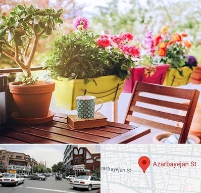 گیاه آپارتمانی در خیابان آذربایجان