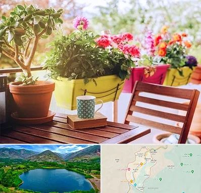 گیاه آپارتمانی در رودبار