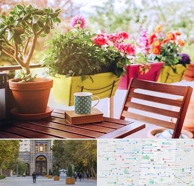 گیاه آپارتمانی در منطقه 12 تهران 