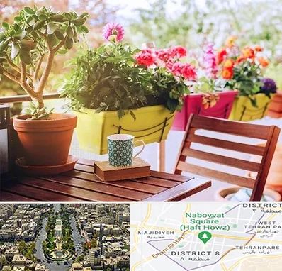 گیاه آپارتمانی در نارمک 