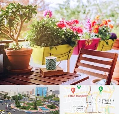 گیاه آپارتمانی در ونک 