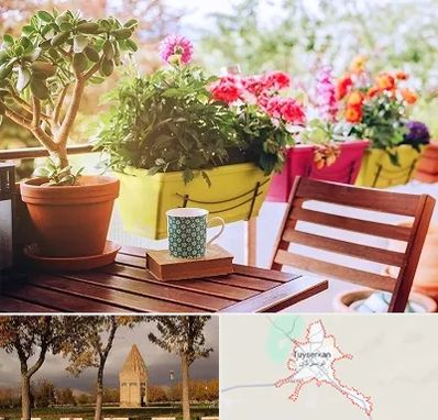 گیاه آپارتمانی در تویسرکان