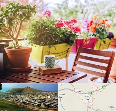 گیاه آپارتمانی در بیجار