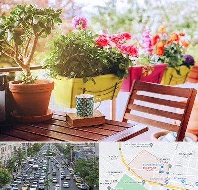 گیاه آپارتمانی در گلشهر کرج