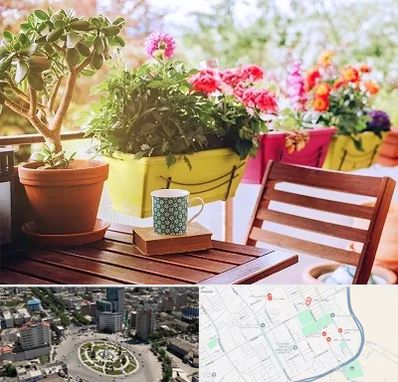 گیاه آپارتمانی در زرافشان اسلامشهر