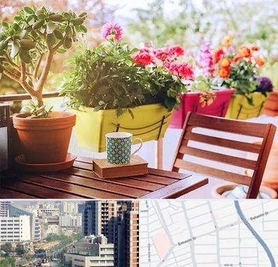 گیاه آپارتمانی در خیابان بهشتی