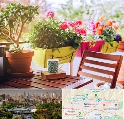 گیاه آپارتمانی در منطقه 1 تهران 