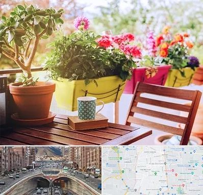 گیاه آپارتمانی در منطقه 10 تهران 