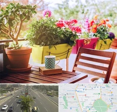 گیاه آپارتمانی در منطقه 17 تهران 