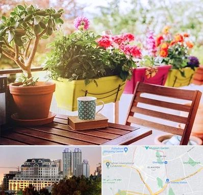 گیاه آپارتمانی در فرشته 