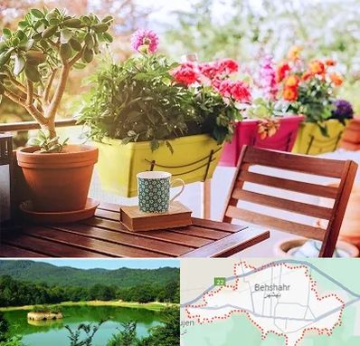 گیاه آپارتمانی در بهشهر