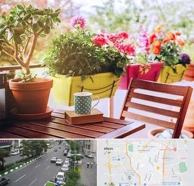 گیاه آپارتمانی در ستارخان 