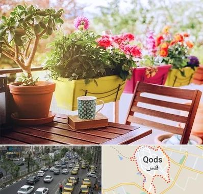 گیاه آپارتمانی در شهر قدس