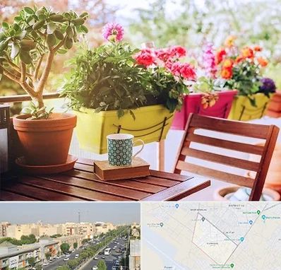 گیاه آپارتمانی در کیانمهر کرج