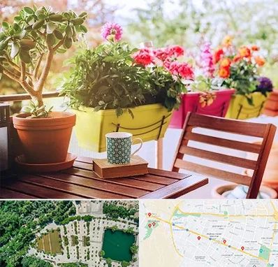 گیاه آپارتمانی در وکیل آباد مشهد 