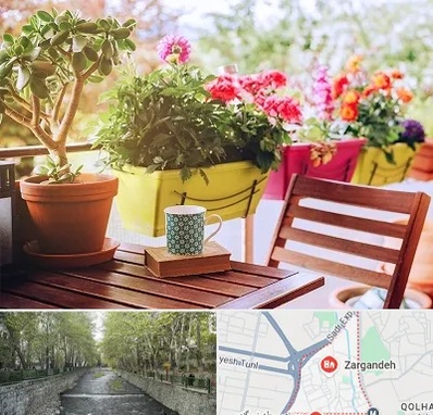 گیاه آپارتمانی در زرگنده